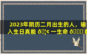 2023年阴历二月出生的人，输入生日真能 🦢 一生命 🐒 数